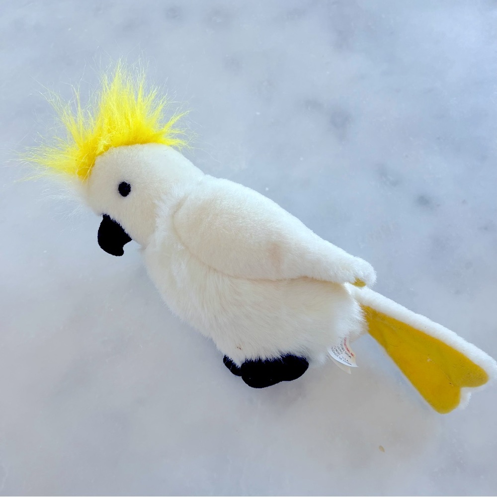 Australian Cockatoo Yellow tailed bird with sound.